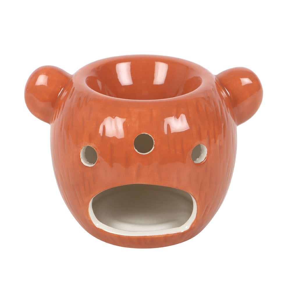 Little brown bear